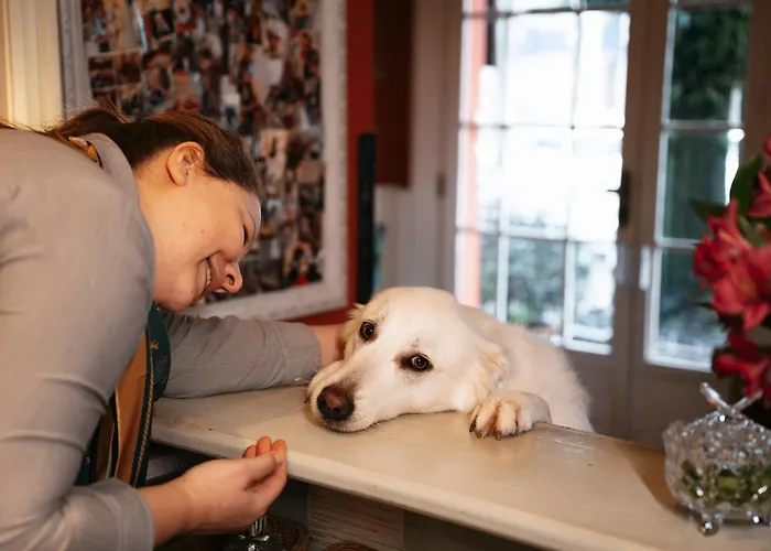 Petit Casa Da Montanha Hotel Gramado